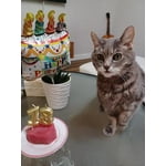 Image 3 of customer photos