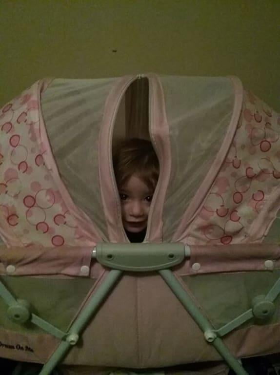 dream on me karley bassinet