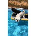 Image 4 of customer photos