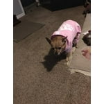 Image 4 of customer photos