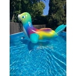 Image 5 of customer photos