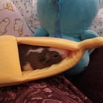 Image 2 of customer photos