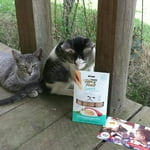 Image 4 of customer photos