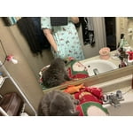 Image 7 of customer photos