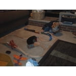 Image 2 of customer photos