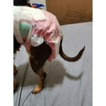 Image 3 of customer photos