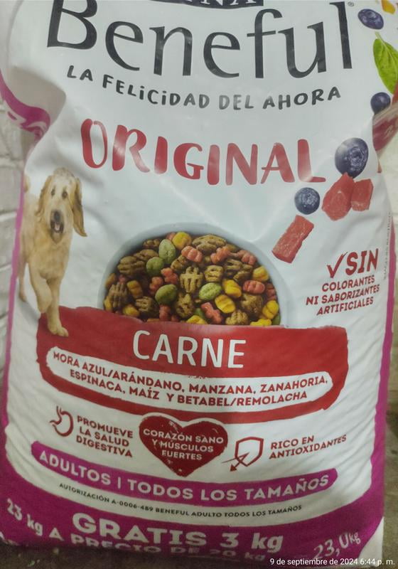 Alimento Seco para Perro Purina Beneful Adulto Original 20 3 Kg a precio de socio Sam s Club en linea