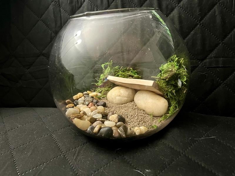 Better Homes & Gardens Terrarium Starter Kit for Indoor Plants