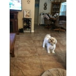 Image 7 of customer photos