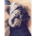 Image 1 of customer photos