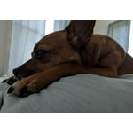 Image 5 of customer photos