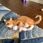 Image 5 of customer photos