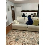 Image 3 of customer photos