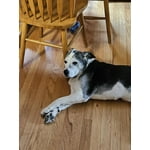 Image 6 of customer photos