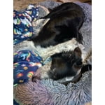 Image 2 of customer photos