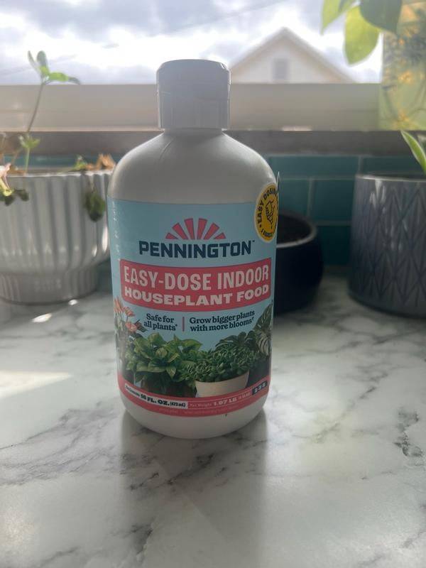 ubuy UK