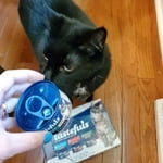 Image 2 of customer photos