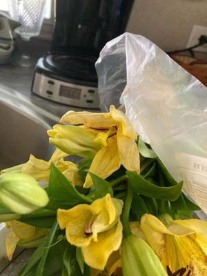 Fresh-Cut Lilies, 3 Stems, Assorted Colors for Office - Walmart
