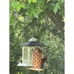 Image 7 of customer photos