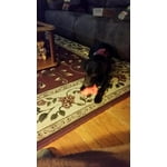 Image 5 of customer photos