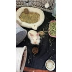 Image 4 of customer photos