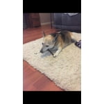 Image 7 of customer photos