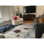 Image 2 of customer photos