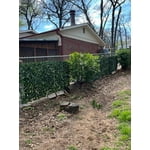 Image 4 of customer photos