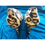 Image 5 of customer photos