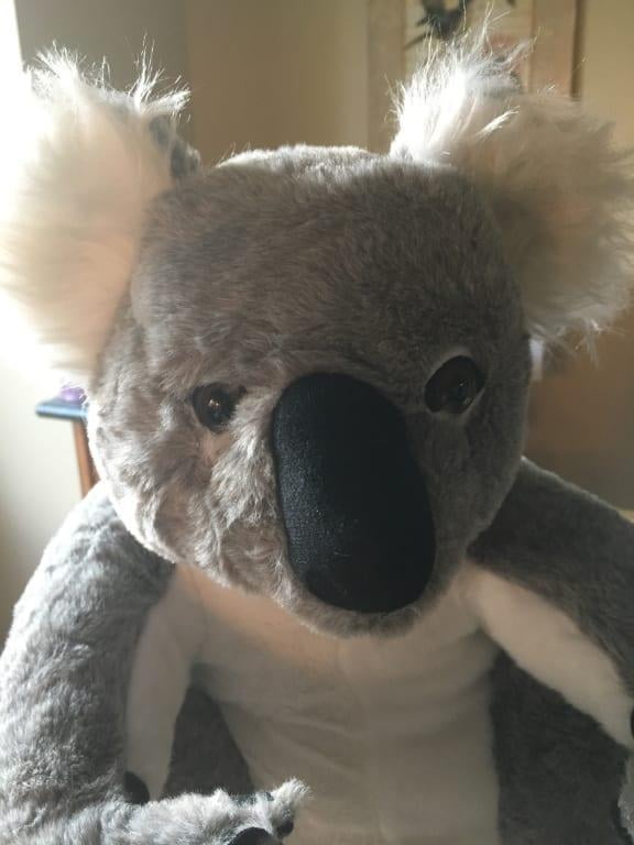 Melissa & Doug Peluche realista de koala (13.5 pulgadas de ancho x 14  pulgadas de alto x 12 pulgadas de profundidad)
