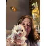 Image 5 of customer photos