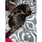 Image 5 of customer photos