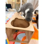 Image 7 of customer photos