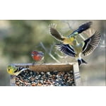 Image 3 of customer photos