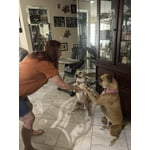 Image 1 of customer photos