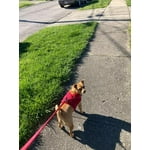 Image 7 of customer photos