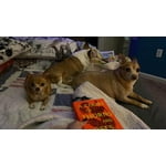 Image 4 of customer photos