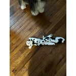 Image 5 of customer photos