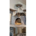 Image 4 of customer photos