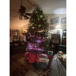 Image 4 of customer photos