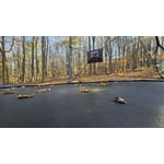 Image 7 of customer photos