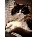 Image 5 of customer photos