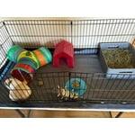 Image 1 of customer photos