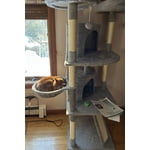 Image 1 of customer photos