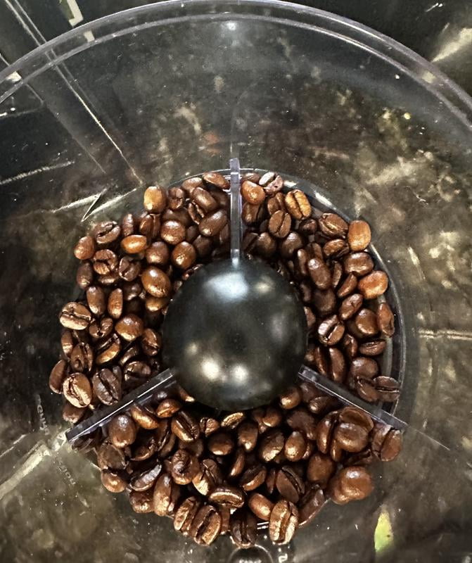 Boyer's Coffee Light Roast Whole Bean, Butterscotch Toffee, 36 oz