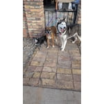 Image 1 of customer photos