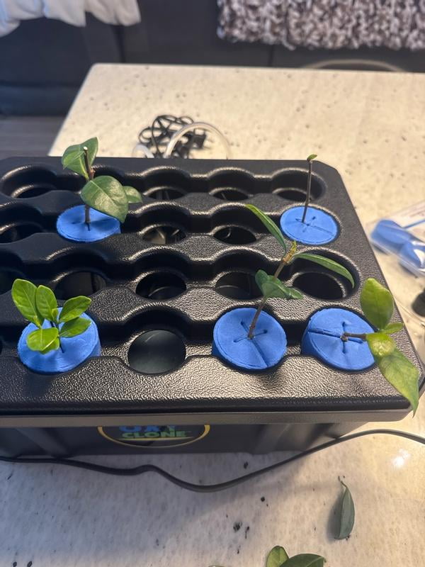OxyCLONE OX20SYS 20 Site Hydroponics Compact Recirculating Cloning