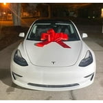 Image 3 of customer photos