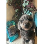 Image 3 of customer photos