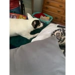 Image 2 of customer photos